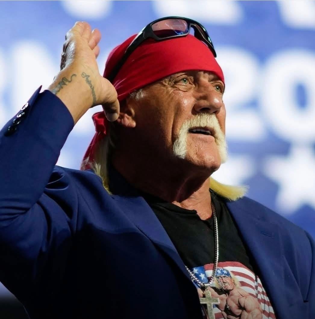 Read more about the article Babysitting Hulk Hogan